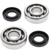 Crankshaft Bearing Kit Cobra CX 65 65cc 2007 2008 2009 2010 2011 2012 2013 2014