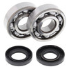 New All Balls Racing Crankshaft Bearing Kit 24-1062