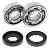 New All Balls Racing Crankshaft Bearing Kit 24-1023