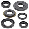 New Winderosa Engine Oil Seal Kit 822307