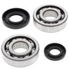 New Crankshaft Bearing Kit Yamaha YZ250 250cc 2001-2016