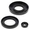 New Engine Oil Seal Kit Arctic Cat Pantera 440cc 1990 1991 1992 1993