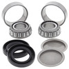 New Swing Arm Bearing Kit Can-Am Traxter 500 500cc 99 00 01 02 03 04 05