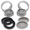 New Swing Arm Bearing Kit Can-Am Traxter 650 650cc 2004 2005