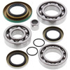 New Rear Differential Bearing Kit Can-Am Renegade 800 800cc 2011 2012 2013 2014