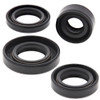 New Winderosa Engine Oil Seal Kit 822162