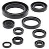 New Engine Oil Seal Kit Honda CR250R 250cc 2002 2003 2004