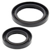 New Engine Oil Seal Kit Jlo-cuyuna 399/2 4 Bolt Head Electric FC/2 399cc