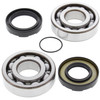 New All Balls Racing Crankshaft Bearing Kit 24-1066