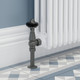 FAR-AG-PW-LS03 - Faringdon Traditional Thermostatic Radiator Valve - Light Pewter (Angled TRV) FAR-AG-PW-LS03 - Faringdon Traditional Thermostatic Radiator Valve - Light Pewter (Angled TRV)