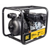 Chemical Transfer Pump 2.0" (NP2070-R)