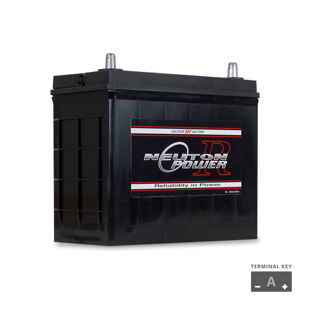 450CCA Neuton Power N60LS Maintenance Free Automotive Battery