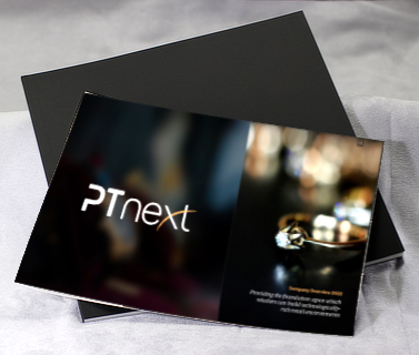 brochure-ptnext-small.jpg