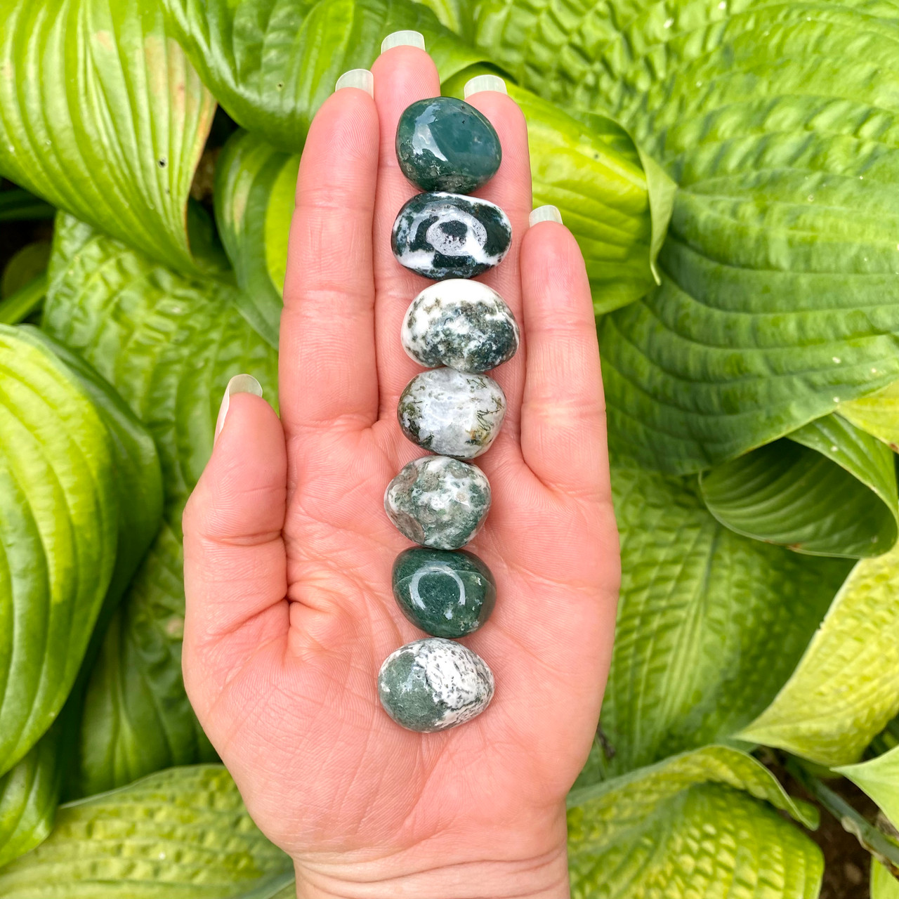 Moss Agate Tumbled Stone - S (set of 3)