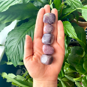 lepidolite tumbled stones lepidolite tumbled stones