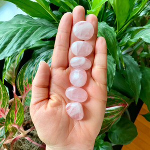 madagascar rose quartz tumbled stones crystals