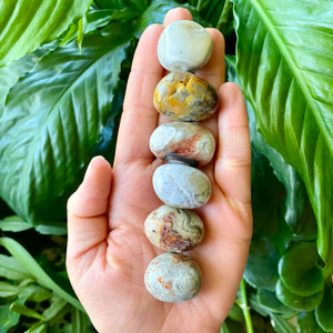 mexican crazy lace agate crystal tumbled stone mexican crazy lace agate crystal tumbled stone