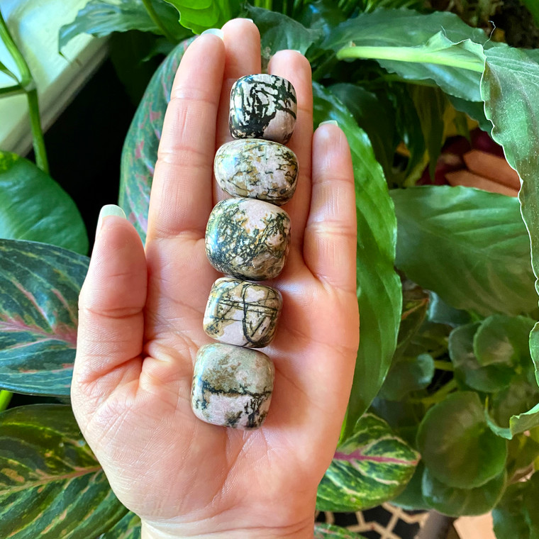 rhodonite crystal tumbled stones