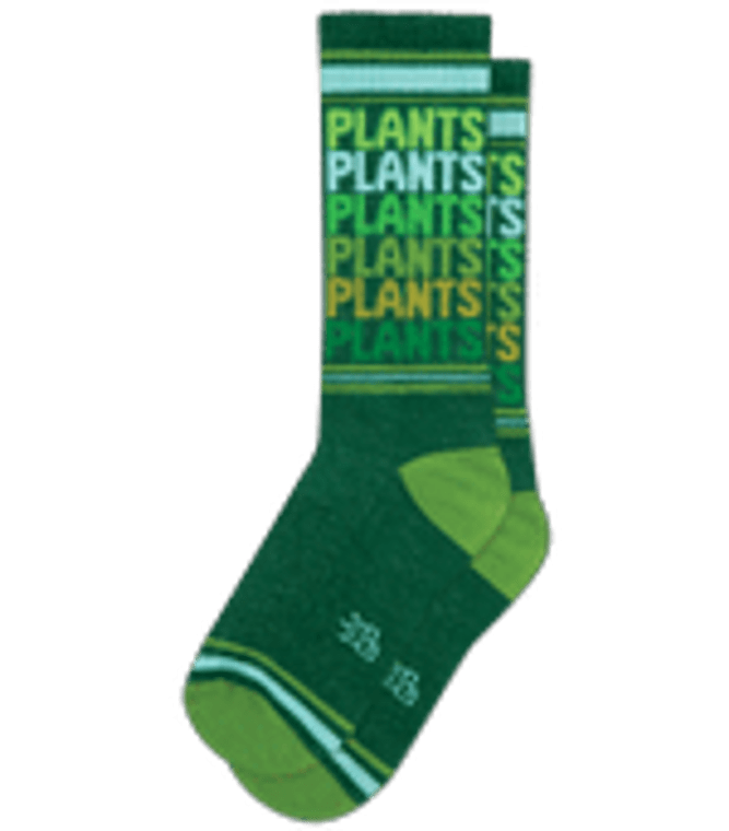 Plants plants plants plants socks