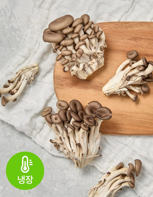 새벽경매 국내산 느타리버섯 200gㅣ월,수,금 재입고