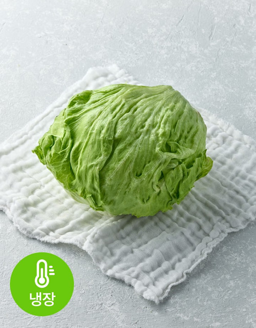 새벽경매 양상추 1통(300g 이상) | 월, 수, 금 재입고