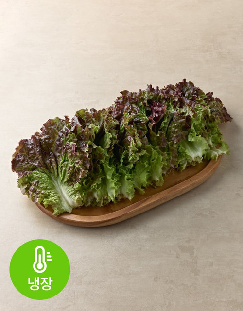 새벽경매 적상추 150g | 월, 수, 금 재입고