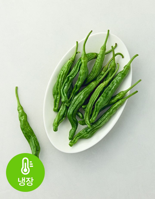 새벽경매 꽈리고추 150g | 월, 수, 금 재입고 