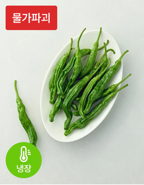 [물가파괴] 새벽경매 꽈리고추 150g | 월, 수, 금 재입고 