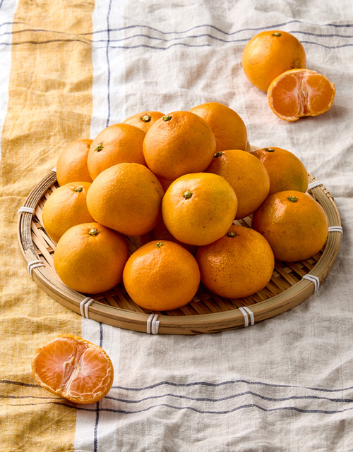 [산지직송/비파괴 당도선별] 제주 노지 감귤 5kg (로열과)