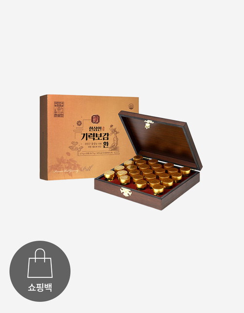 [사전예약][한삼인] 기력보감(환) 선물세트 [25환]
