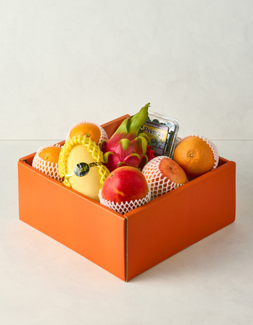 [사전예약][실속형] 프레시 셀렉션 6종 수입과일 선물세트 (3kg 이상)