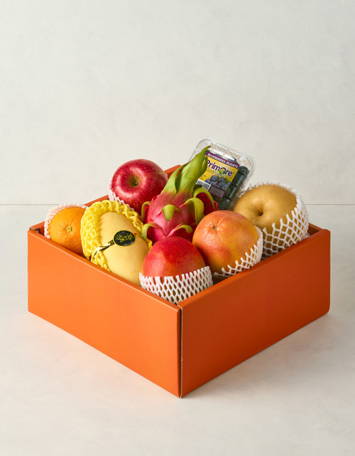 [사전예약][베스트형] 프레시 셀렉션 8종 국산&수입과일 선물세트 (2.9kg 이상)