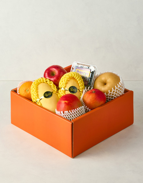 [사전예약][프리미엄] 프레시 셀렉션 국산&수입과일 선물세트 (2.9kg 이상)