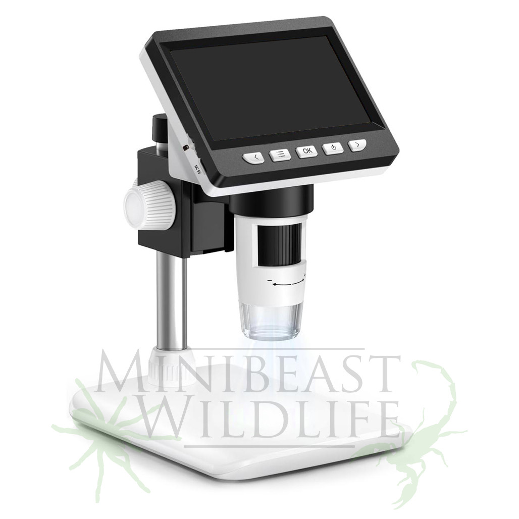 Digital Microscope - Minibeast Wildlife Bugshop