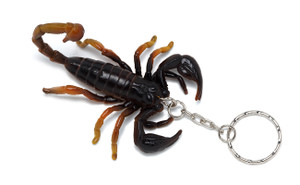 Scorpion Keyring Scorpion Keyring