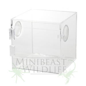Acrylic enclosure (200mm x 200mm x 200mm) with FRONT OPENING hinged lid Acrylic enclosure (200mm x 200mm x 200mm) with FRONT OPENING hinged lid