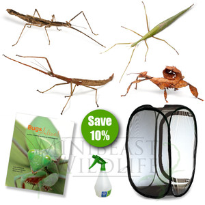 Mega Stick Kit (Save 10%) Mega Stick Kit (Save 10%)