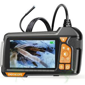 Endoscope - burrow inspection tool 