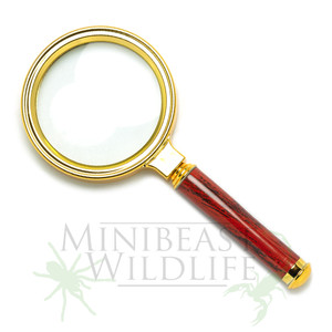 Magnifying glass - 70mm