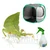 Dancing Leaf Insect Mini-kit - Save 10%