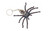 Huntsman Spider Keyring Huntsman Spider Keyring