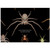 Australian Huntsman Spiders - Poster
