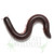 Rusty Rainforest Millipede Kit - Save 10%