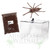 Australian Tarantula Lockable Acrylic Kit (Choose species) Sexed 2nd year juveniles Australian Tarantula Lockable Acrylic Kit (Choose species) Sexed 2nd year juveniles