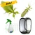 Dancing Leaf Insect Kit - Save over 15%