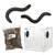 Red-legged Rainforest Millipede Kit