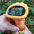 Kids Digital Microscope