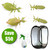 The Leafy Gang - Save $50