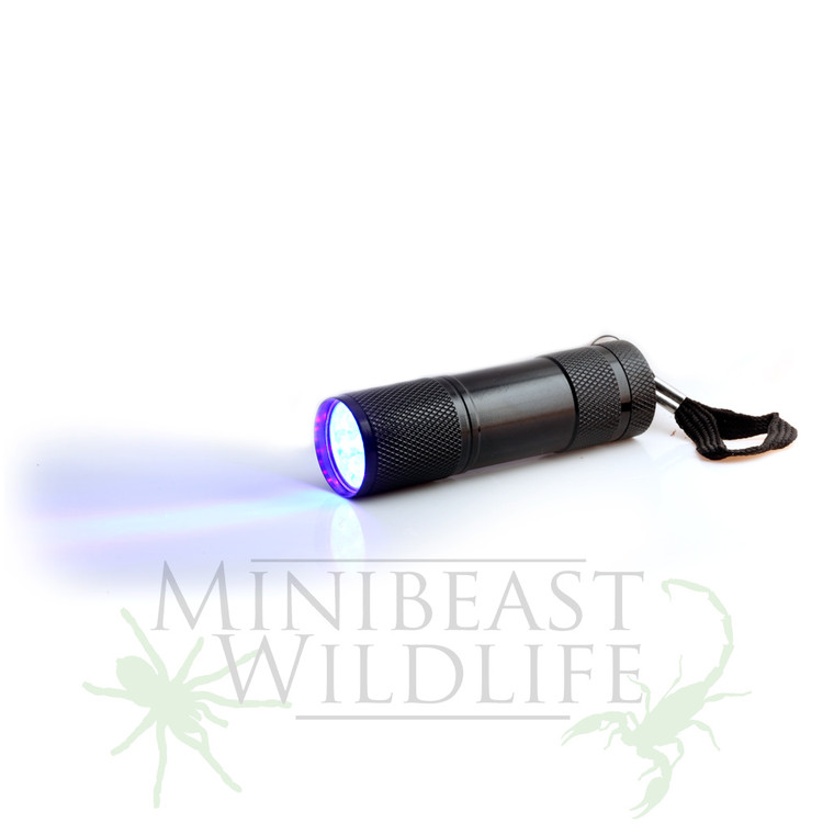 Compact UV Torch