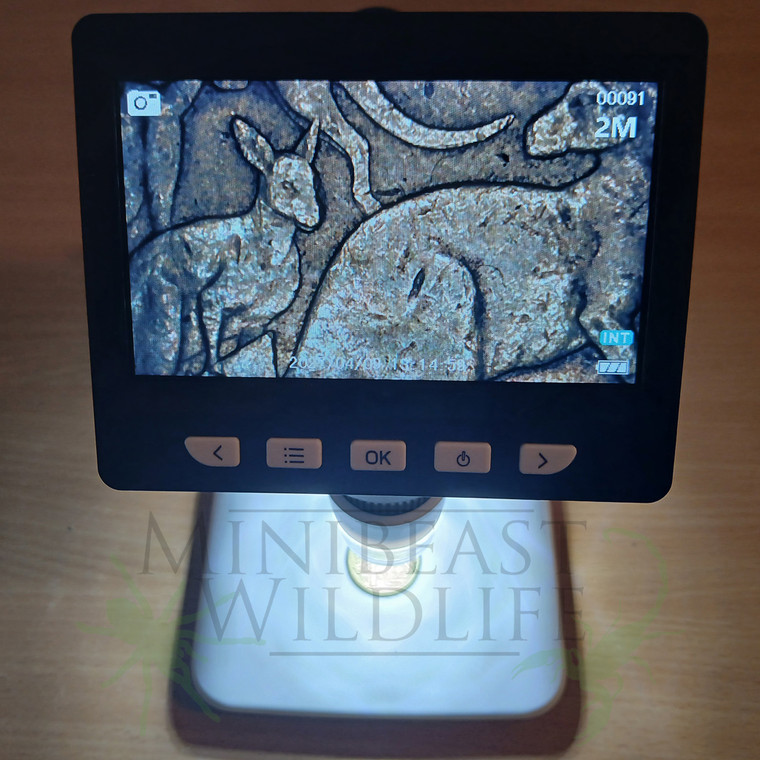Digital Microscope - Minibeast Wildlife Bugshop